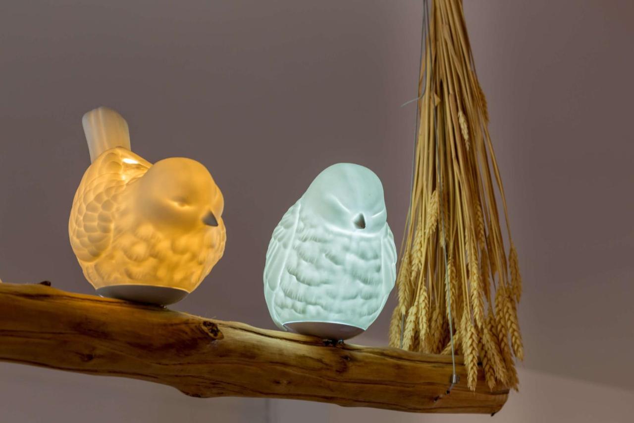L'Oiseau Blanc ~ Centre Ville ~ Arrivee Autonome Blois Ngoại thất bức ảnh