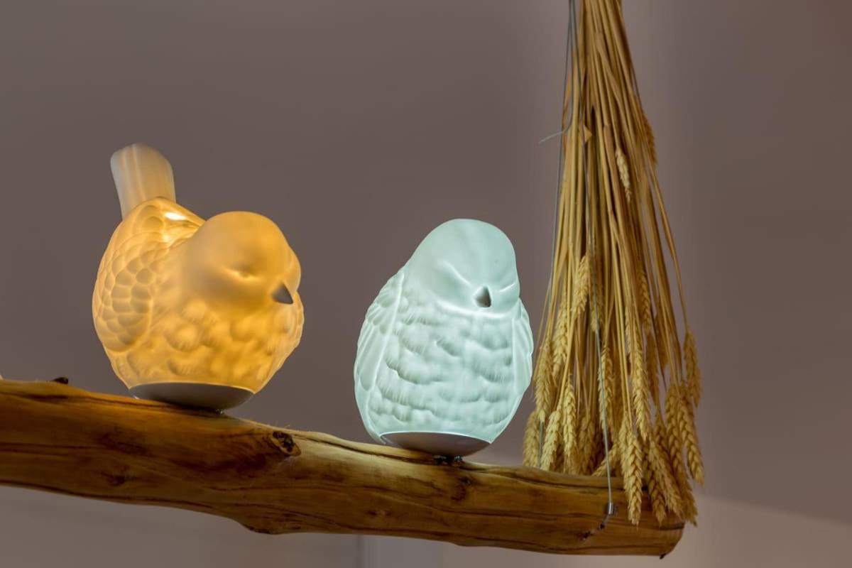 L'Oiseau Blanc ~ Centre Ville ~ Arrivee Autonome Blois Ngoại thất bức ảnh